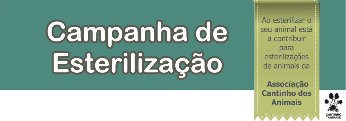 topo artigo campanha