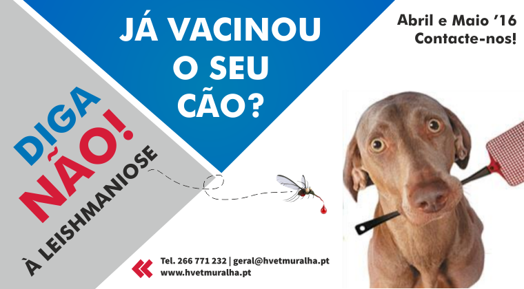 web banner