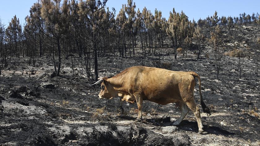 pn082016082393364278_base