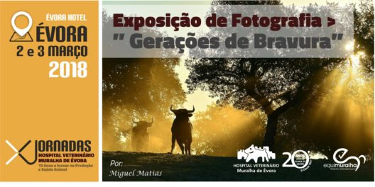 Banner X Jornadas - Exposição Fotografia