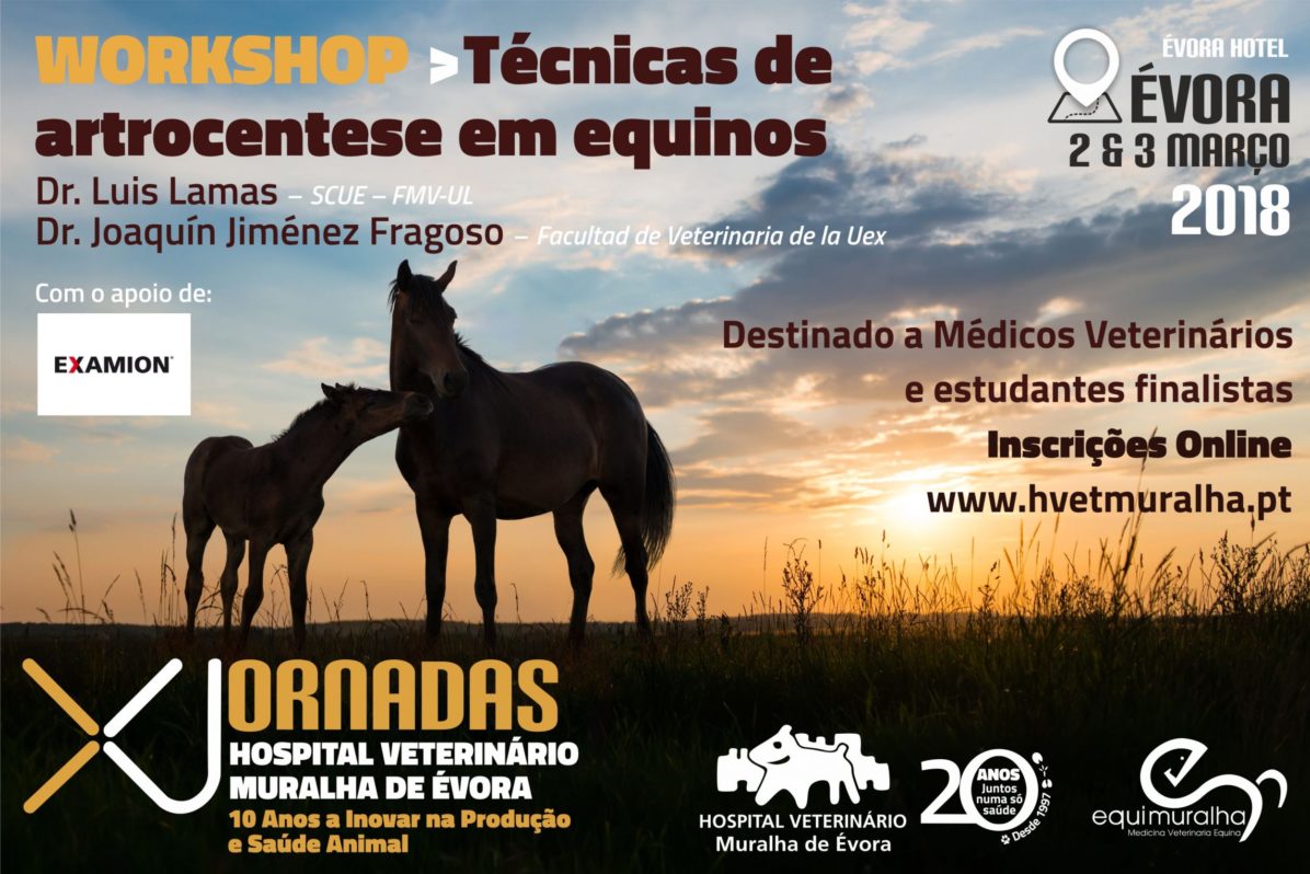 Workshop EXAMION - Equinos
