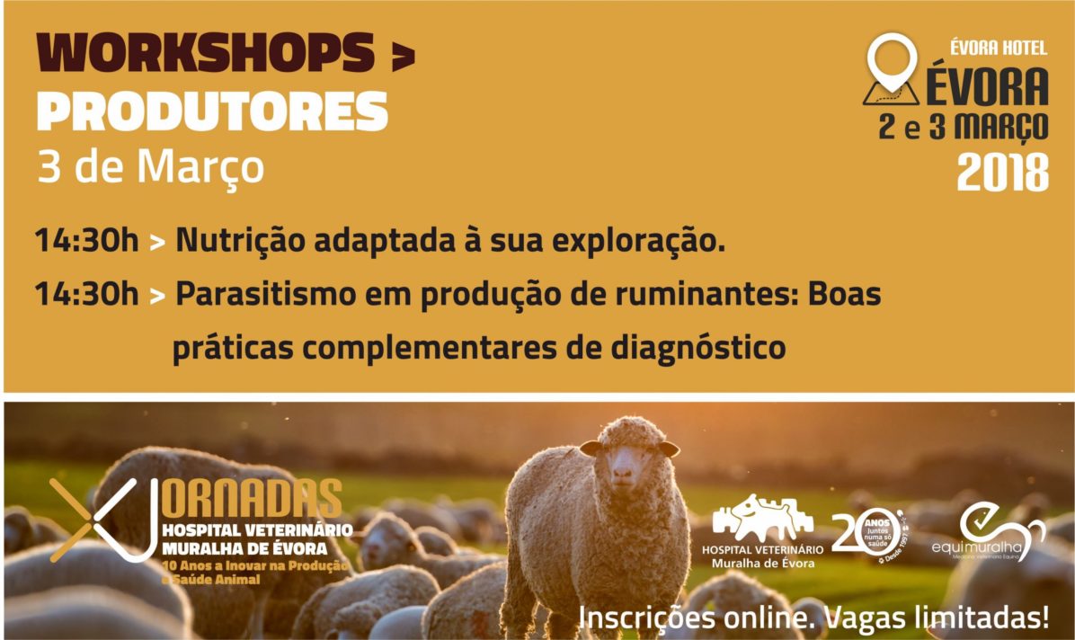 workshops-produtores