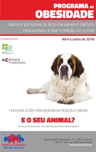 Cartaz Obesidade 2018