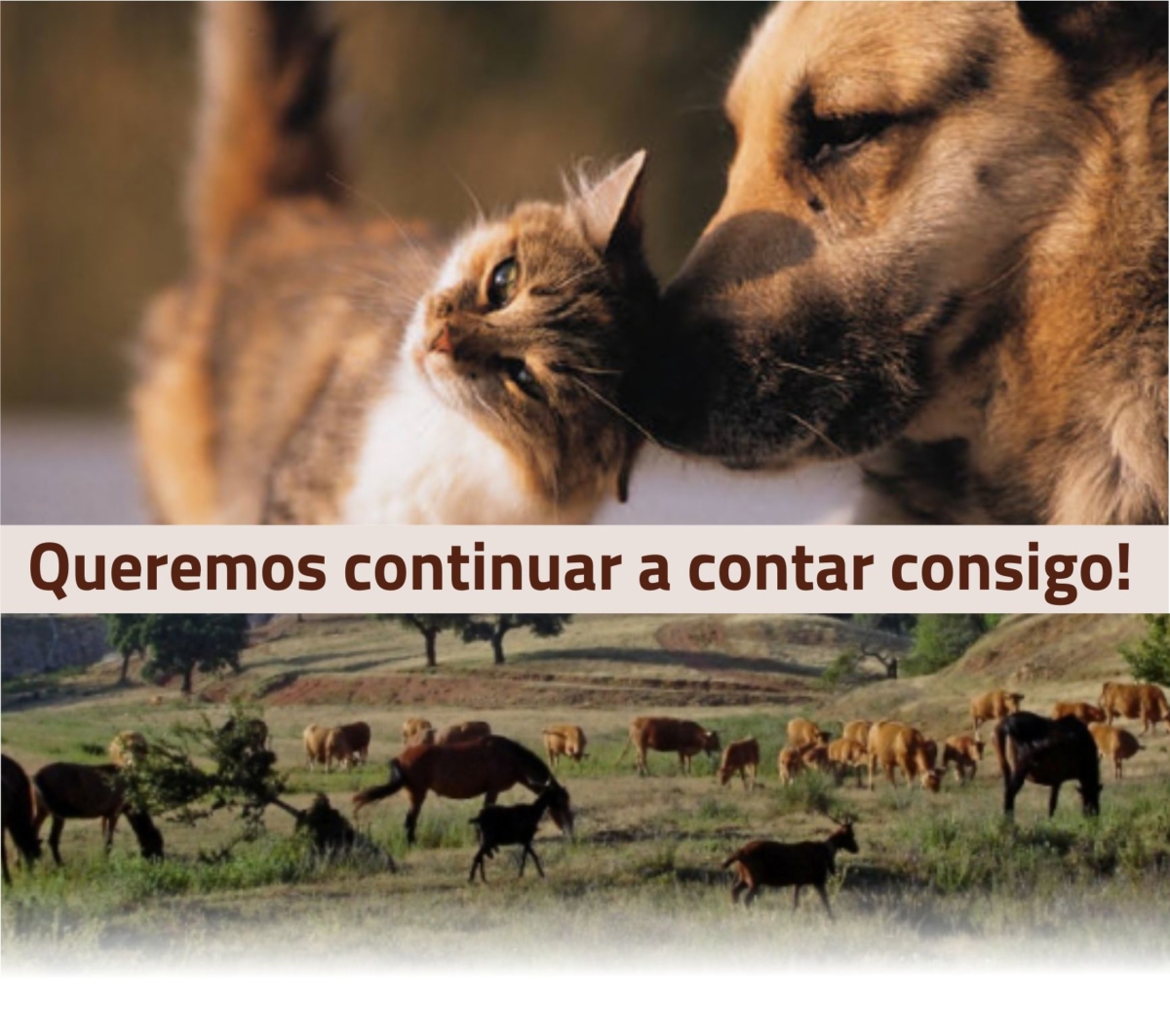 Imagem RGPD
