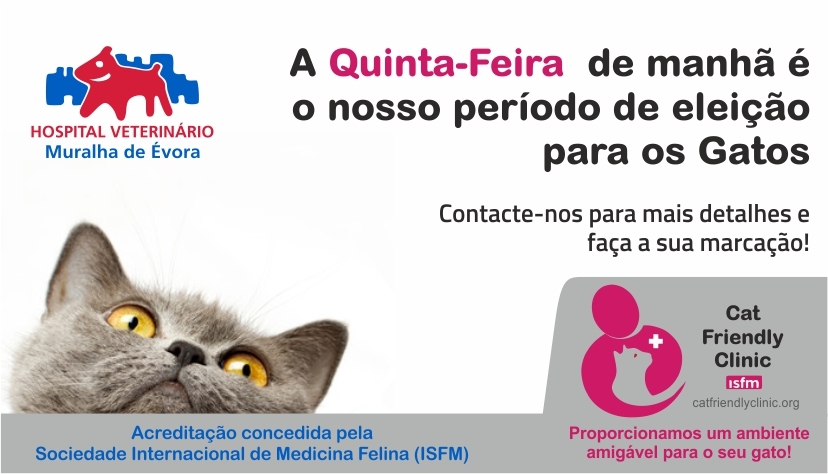 Banner Consultas Quinta-feira