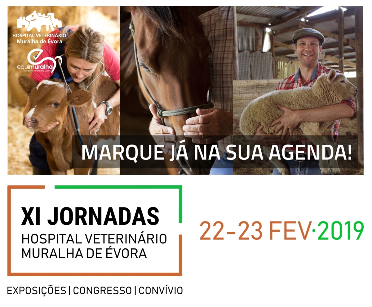 Banner Save The Date
