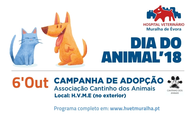 dia-animal-18-campanha-adopcao
