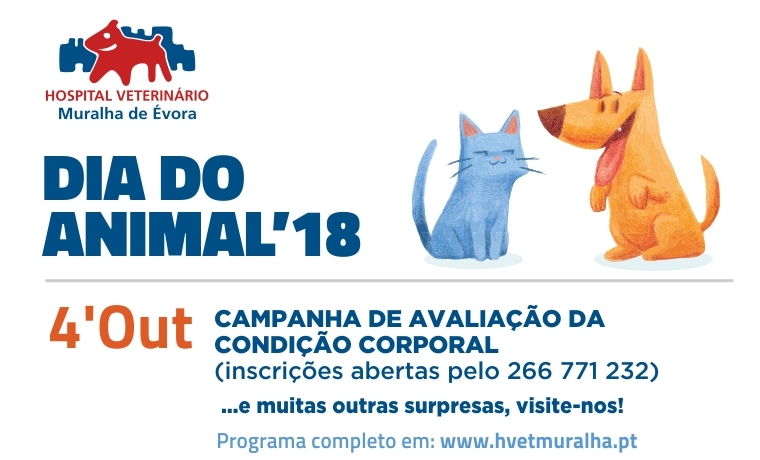 Dia Animal 18 Campanha Av Cond Corporal