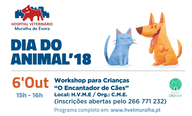 Dia Animal 18 Workshop