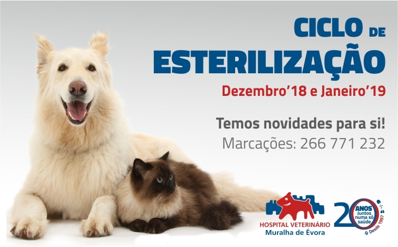 Ciclo de esterilização