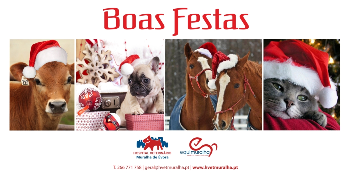 POSTAL NATAL HVME 2018 FINAL