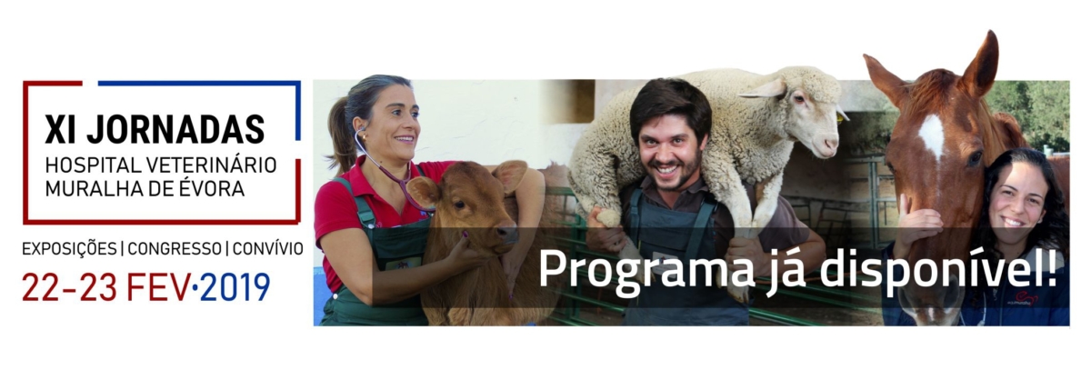 XI Jornadas Programa disponivel