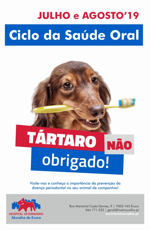 cartaz-saude-oral-2