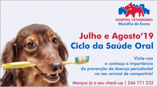 SAUDE ORAL BANNER 1 HVME