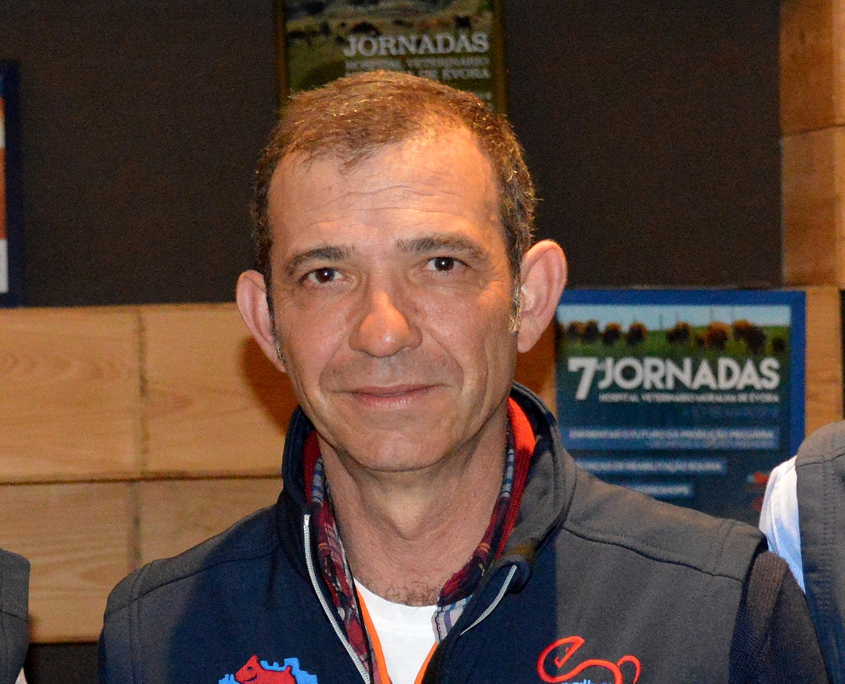 Pedro Bolas 