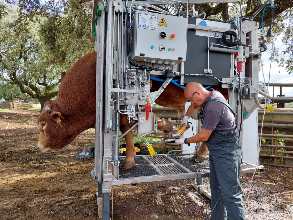 WhatsApp Image 2021-04-29 at 22.53.57 (8)