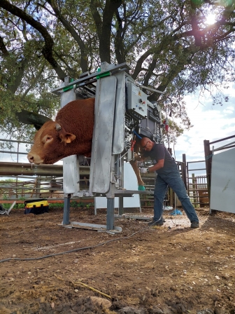 WhatsApp Image 2021-04-29 at 22.53.58 (7)