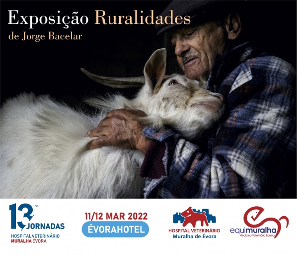 EXPOSIÇÃO 1