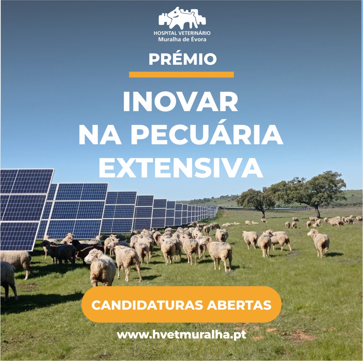 SOCIAL PREMIO