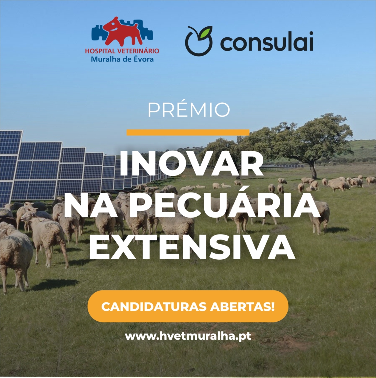 social-premio-rev1