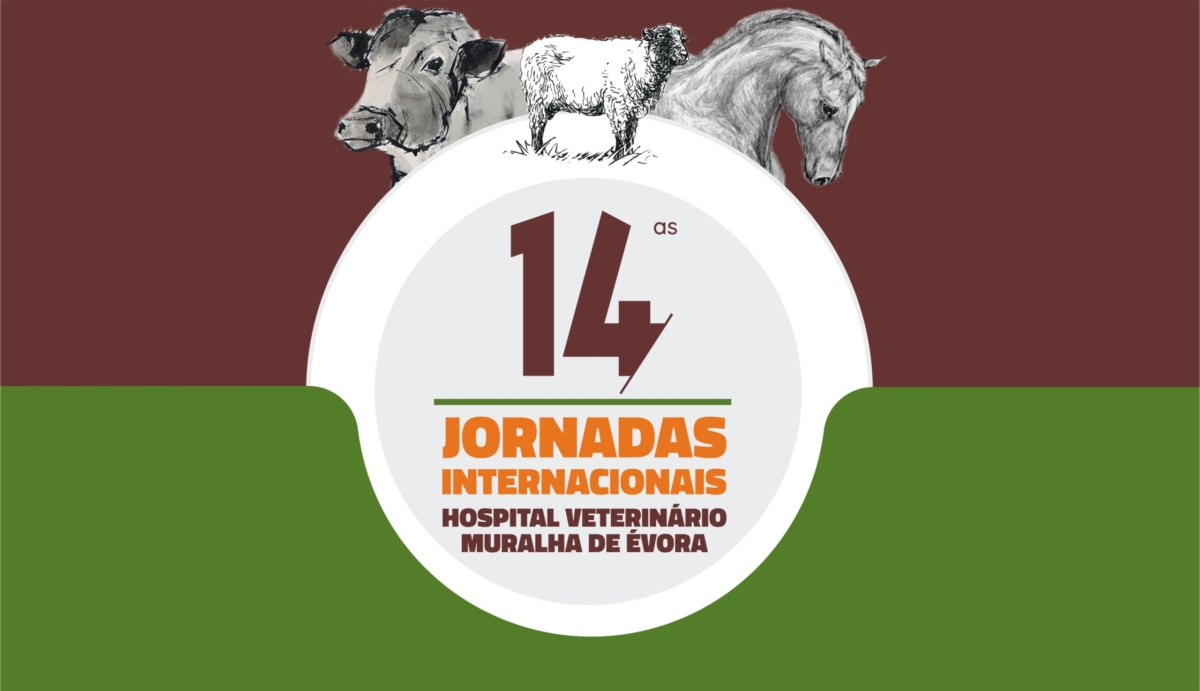 capa-16_9