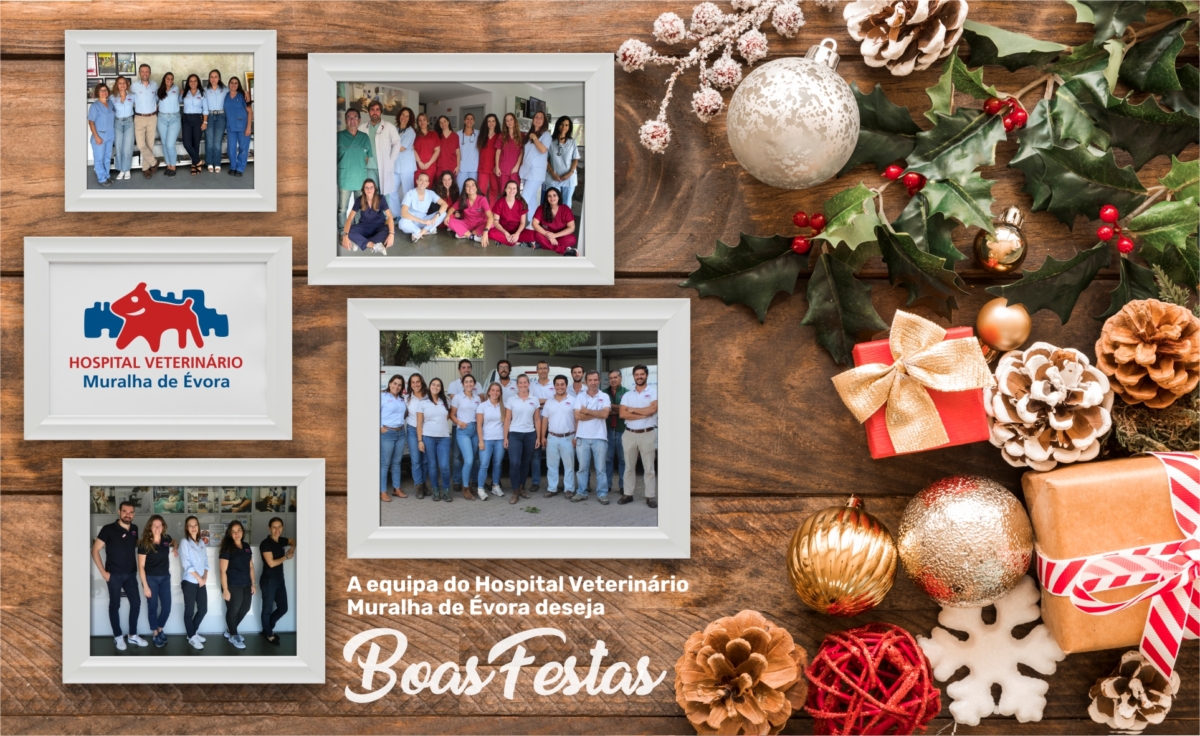 Postal de Natal 2023