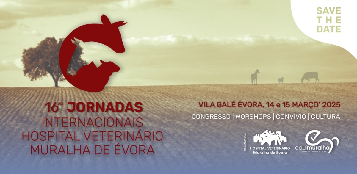 banner-16jornadas
