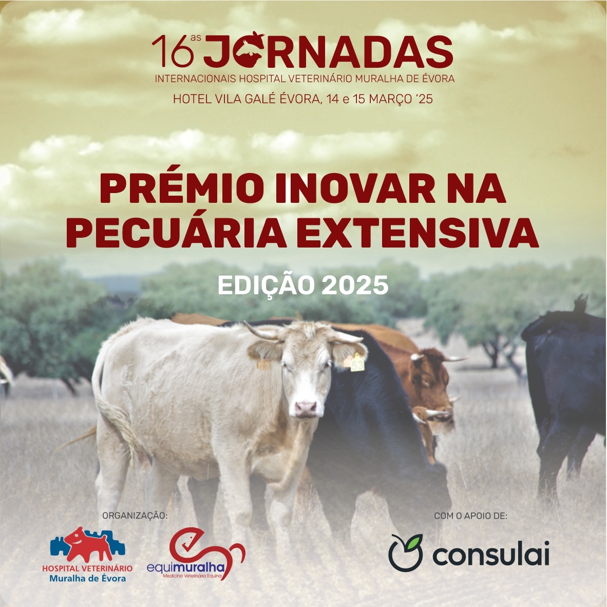 social-premio-inovar-2025