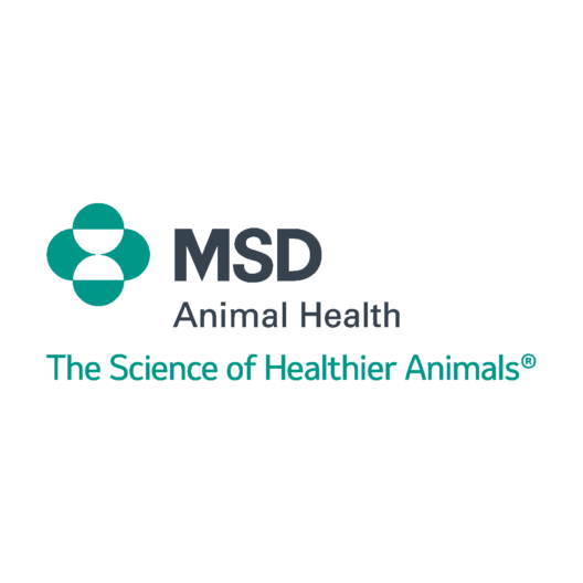 msd-web