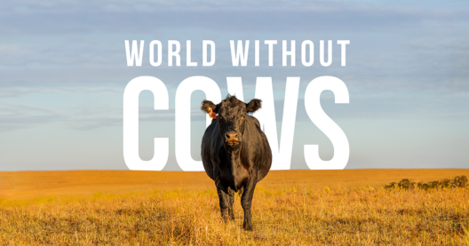 WWC-Featured-Image-1200x630-FINAL