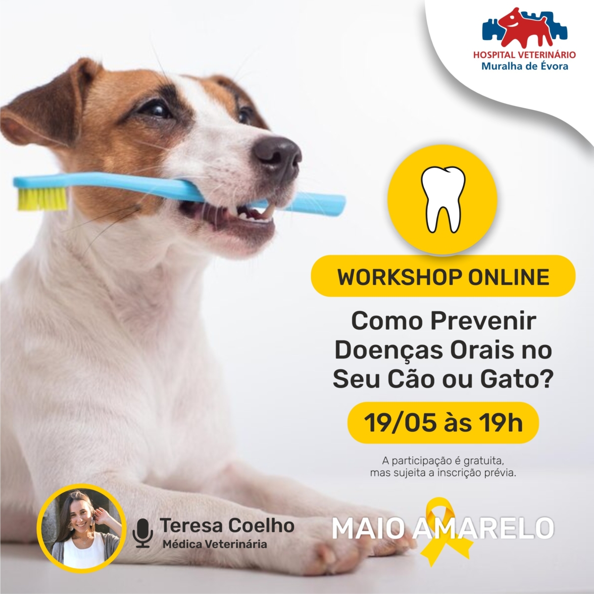 Workshop Saude Oral social