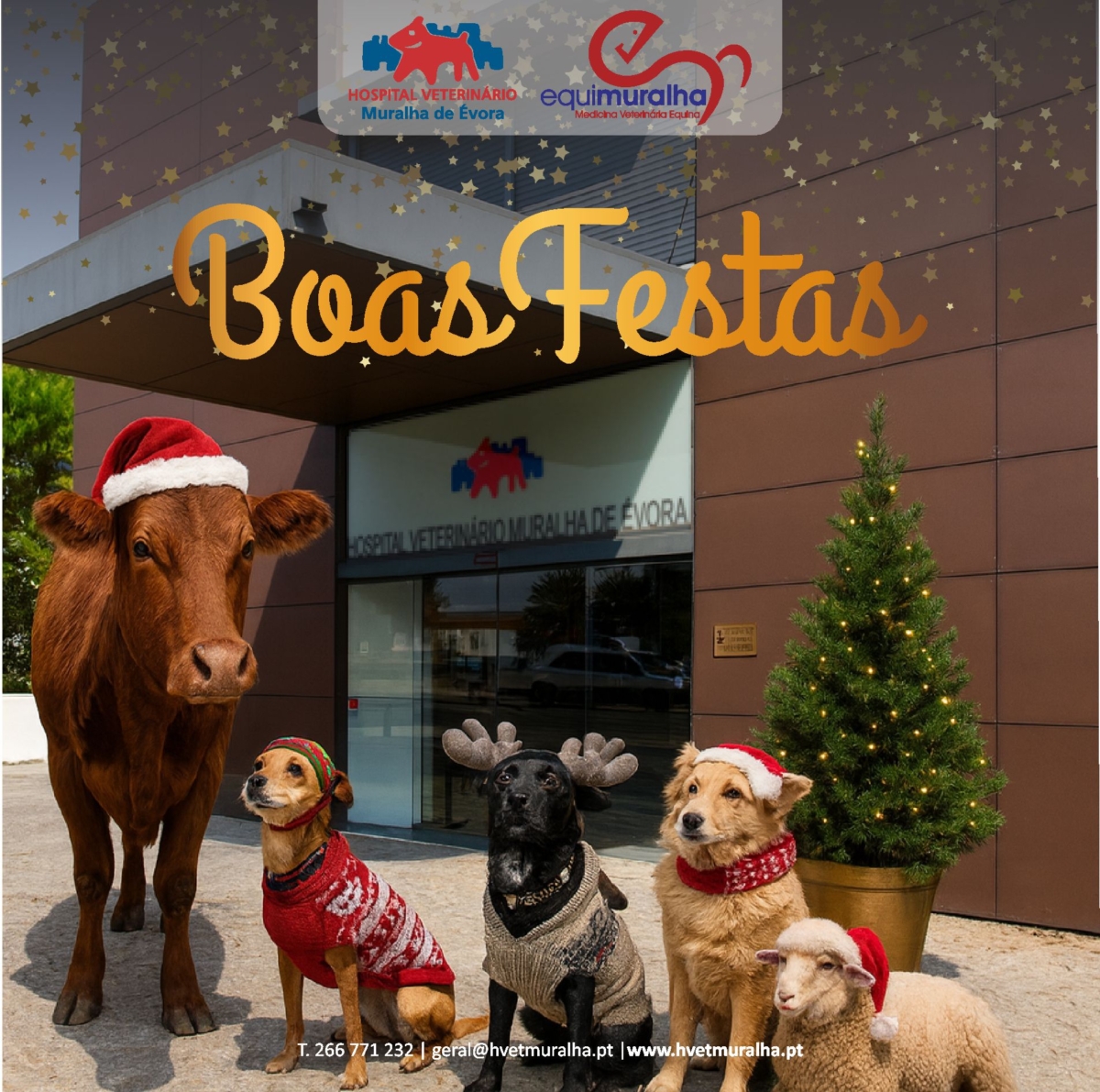 postal-de-natal-2025