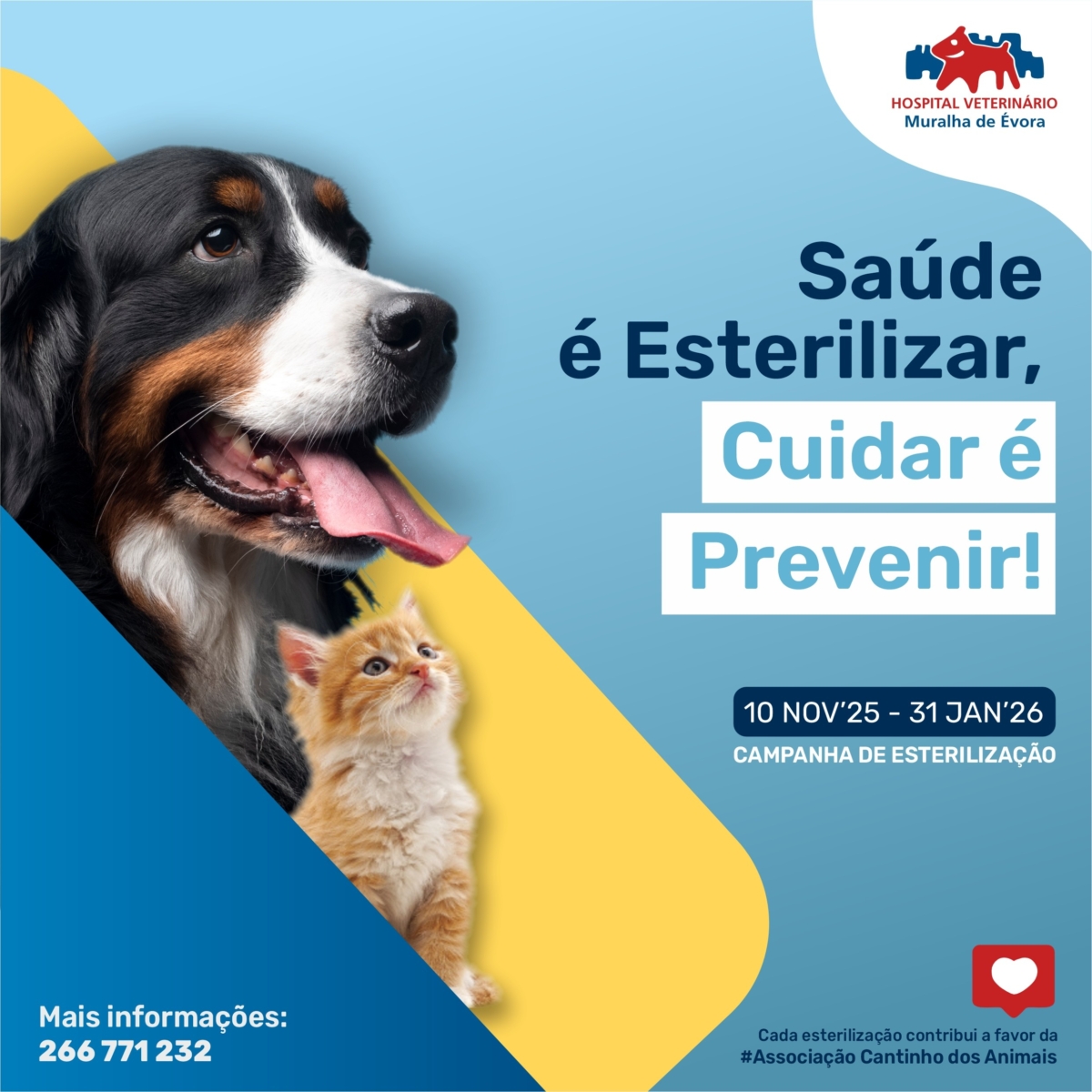 social-esterilizacao-25-26